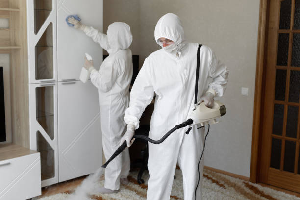 Trusted Sewage Cleanup service in Sparta, IL - Four Month Blood Cleanse